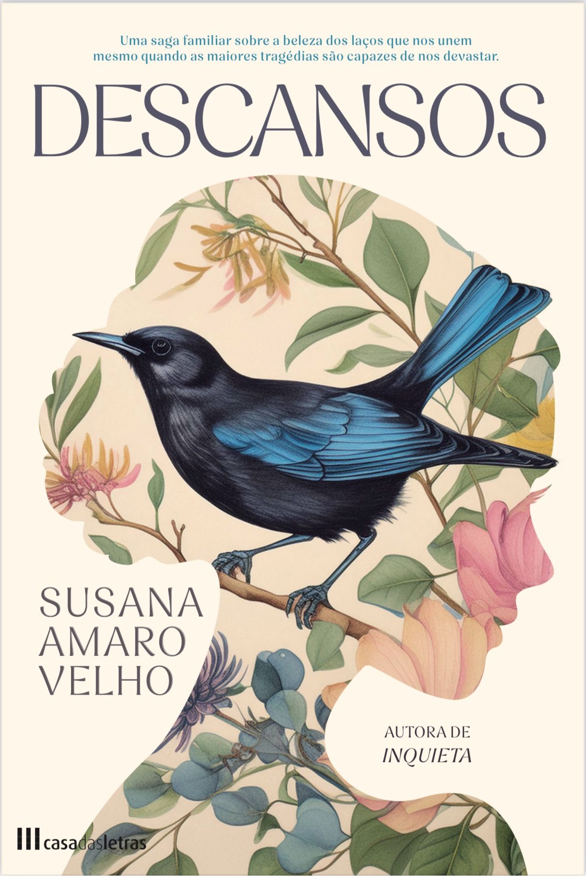 Descansos book cover