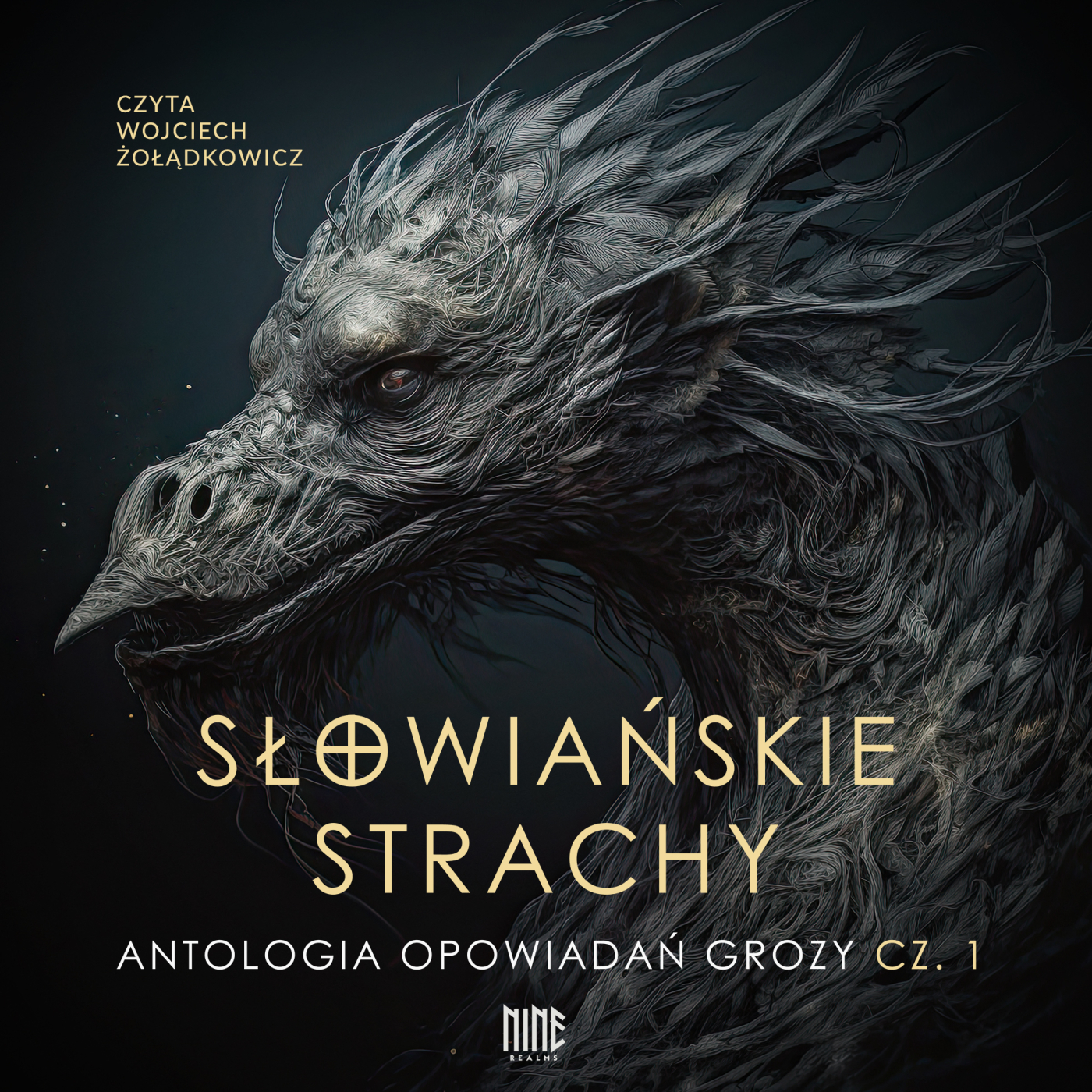 Słowiańskie strachy book cover 1