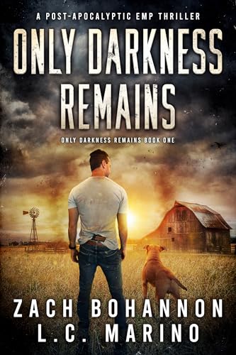 Only Darkness Remains book cover