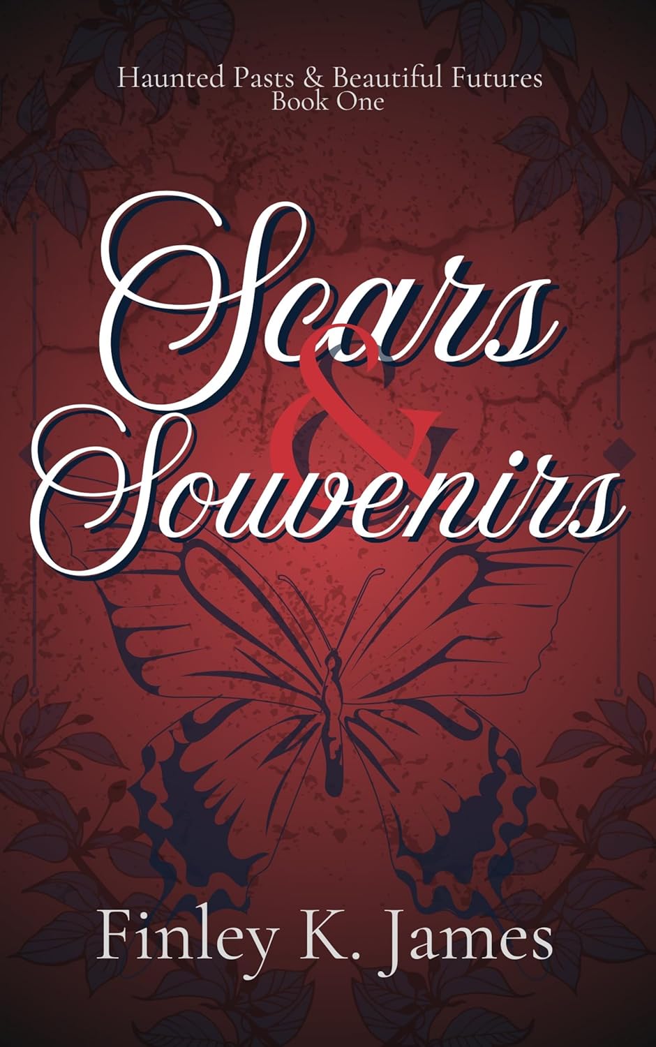 Scars and Souvenirs: Max's Journey