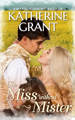 The Miss Without a Mister book cover