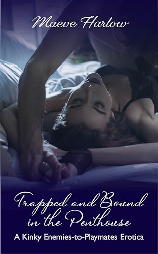 Trapped and Bound in the Penthouse Suite: Alpha Dom Enemies to Lovers