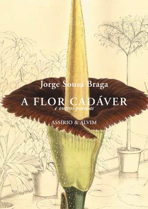 A Flor Cadáver e outros poemas