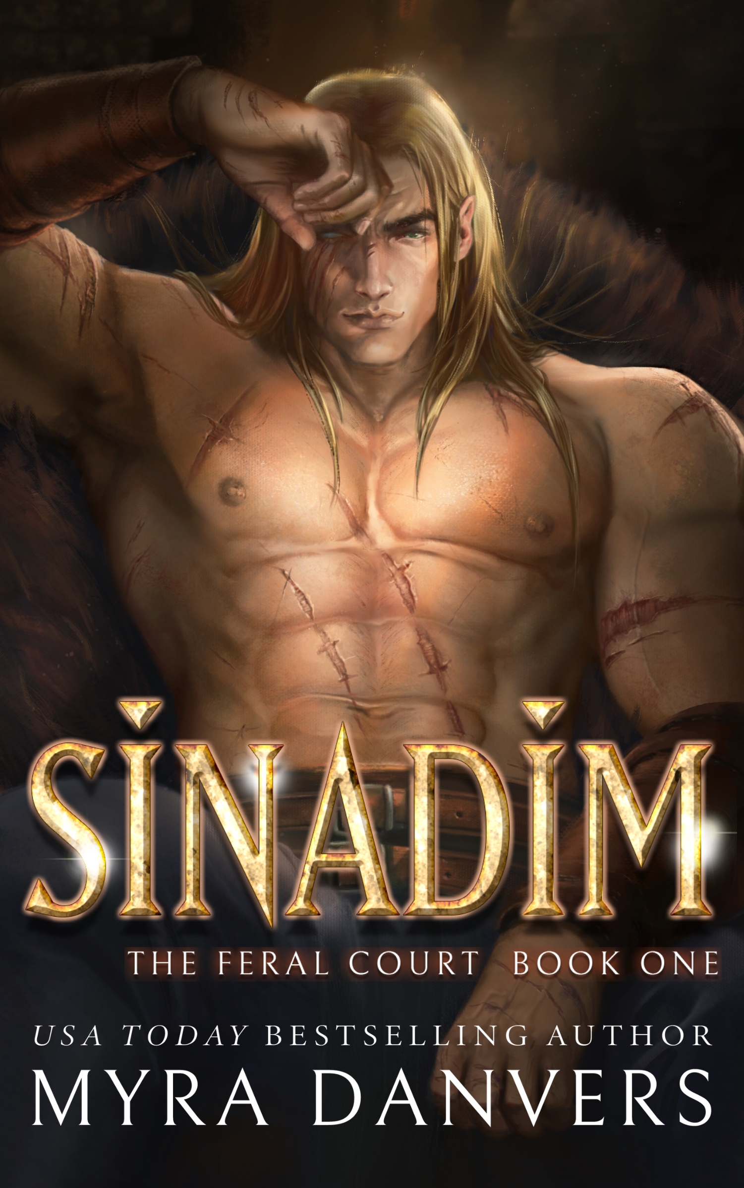 Sinadim book cover