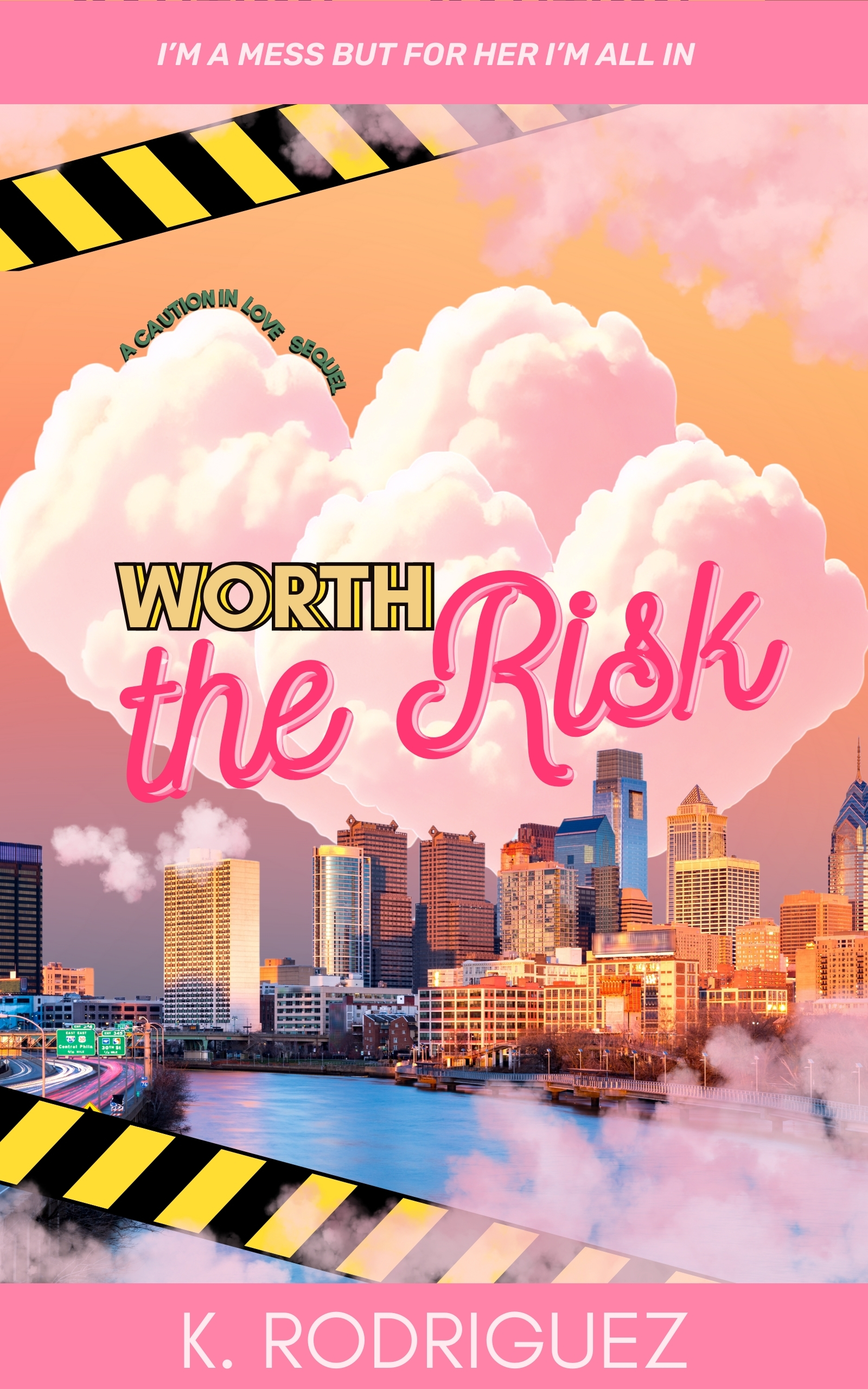 Worth the Risk book cover