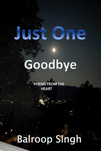 Just One Goodbye: Poems from the Heart