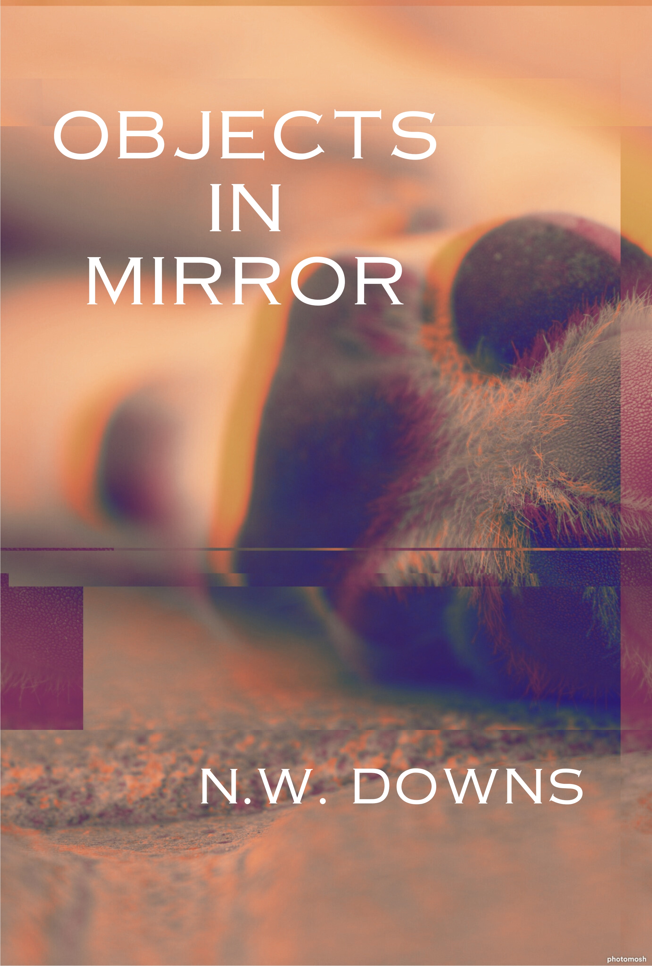 Objects in Mirror