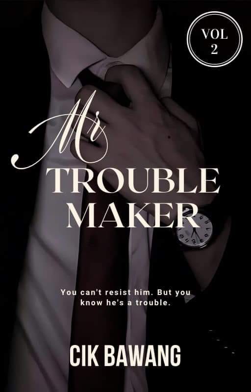 Mr Troublemaker Vol. 2
