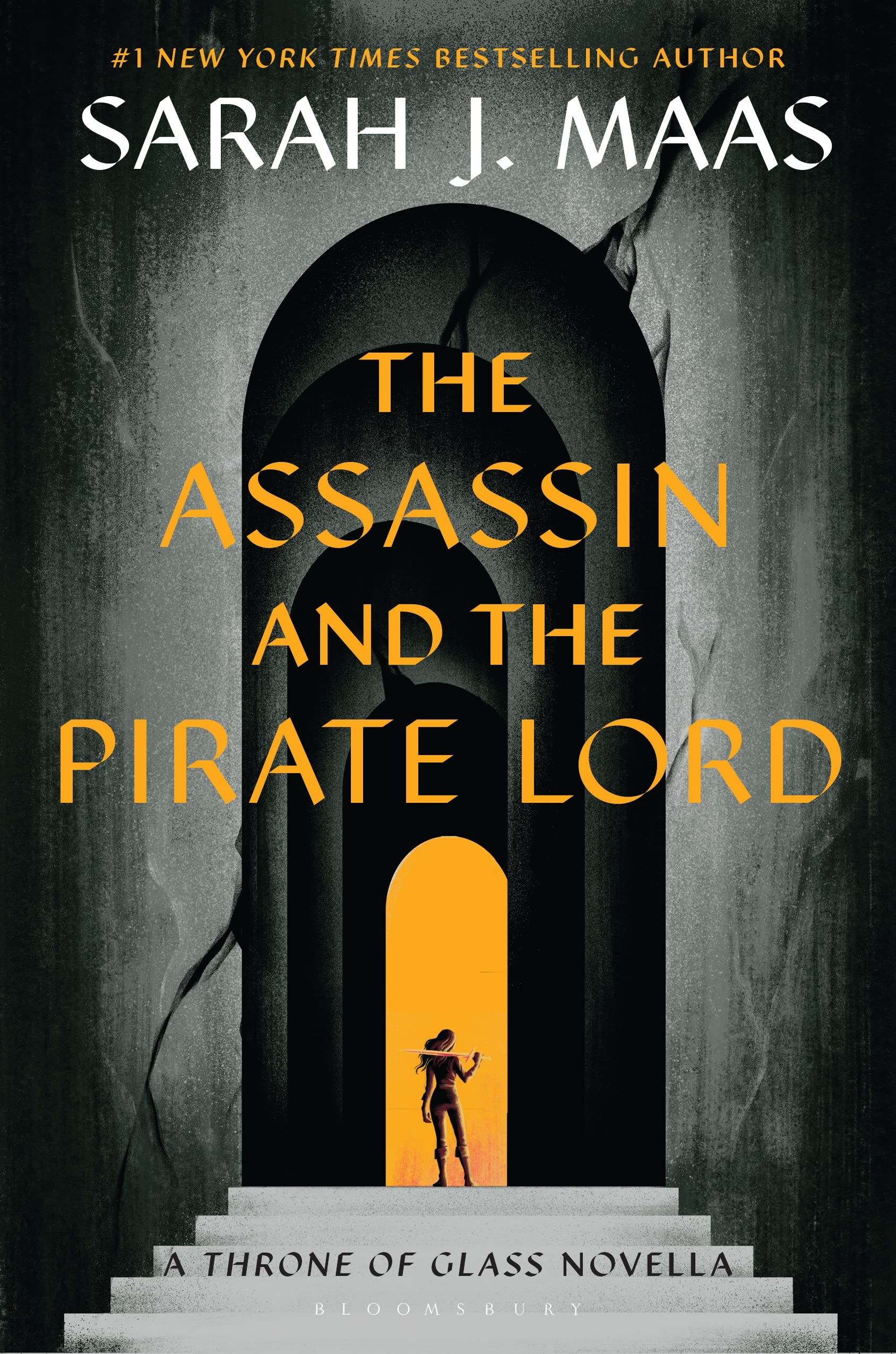 The Assassin and the Pirate Lord (Throne of Glass, #0.1)