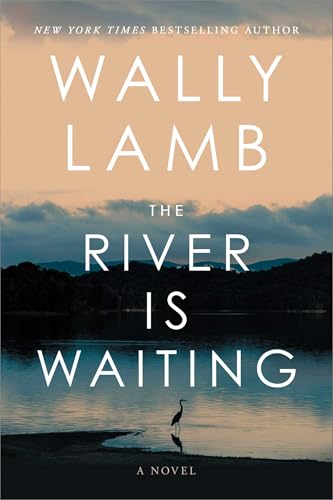 The River Is Waiting book cover