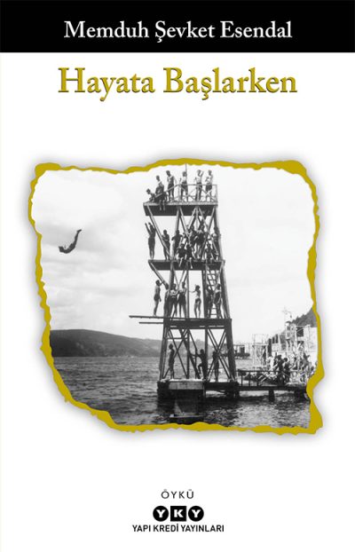 Hayata Başlarken book cover