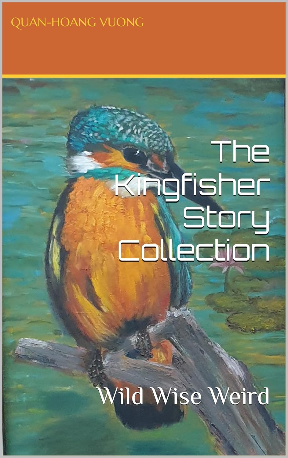 The Kingfisher Story Collection: Wild Wise Weird