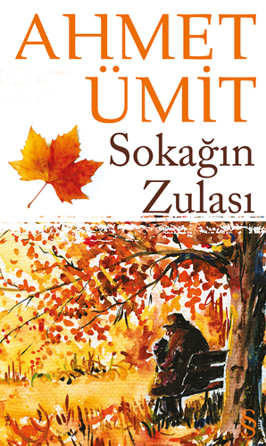 Sokağın Zulası book cover