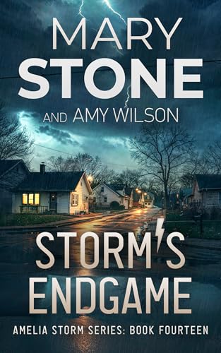 Storm's Endgame book cover