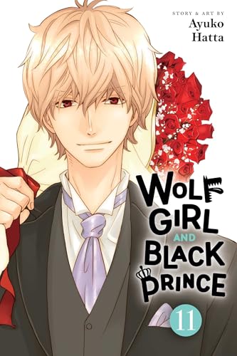 Wolf Girl and Black Prince, Vol. 11 book cover