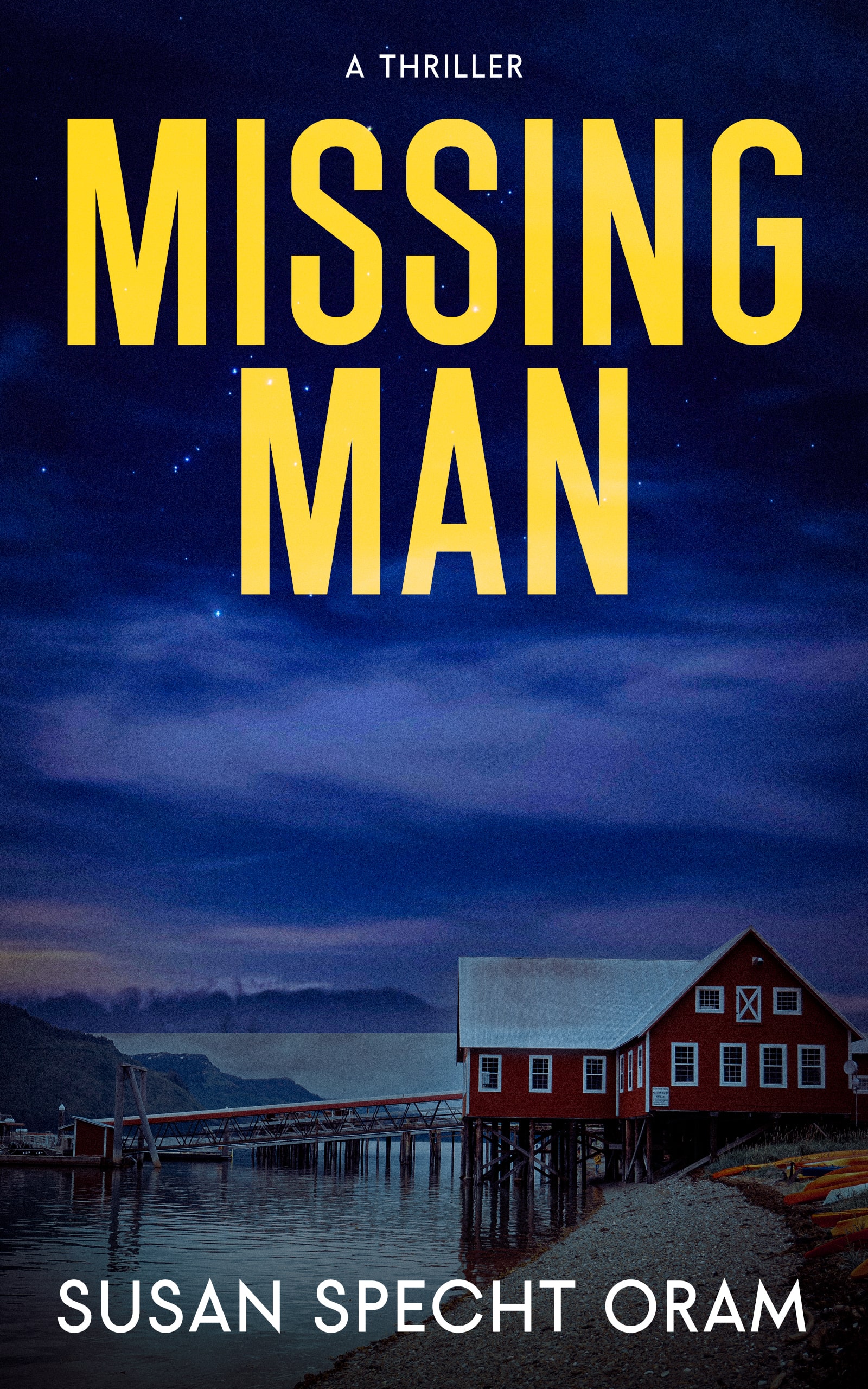 Missing Man: A Thriller