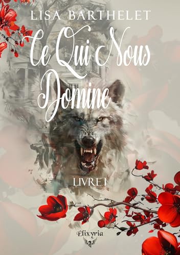 Ce qui nous domine - Livre I (Akopo t. 1)