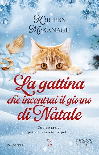 La gattina che incontrai il giorno di Natale