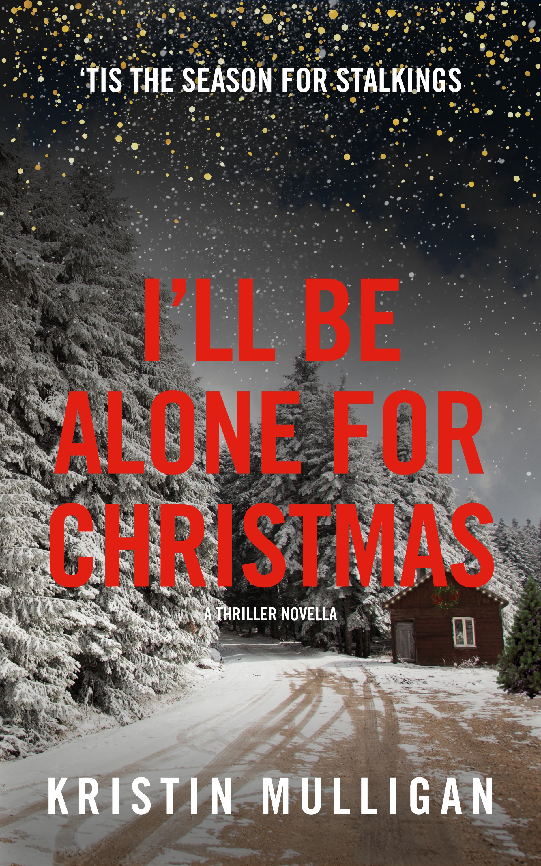 I’ll Be Alone For Christmas: A Thriller Novella