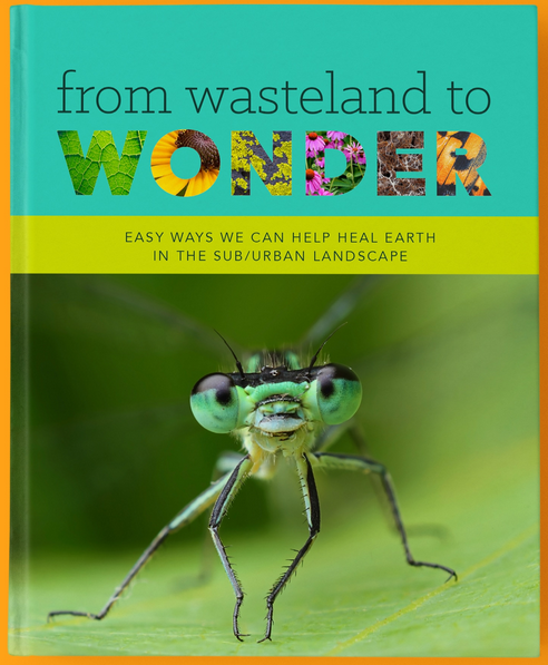 From Wasteland to Wonder