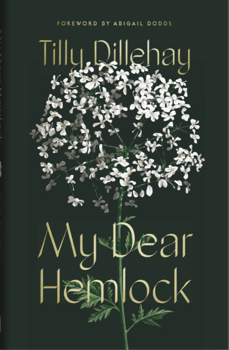 My Dear Hemlock