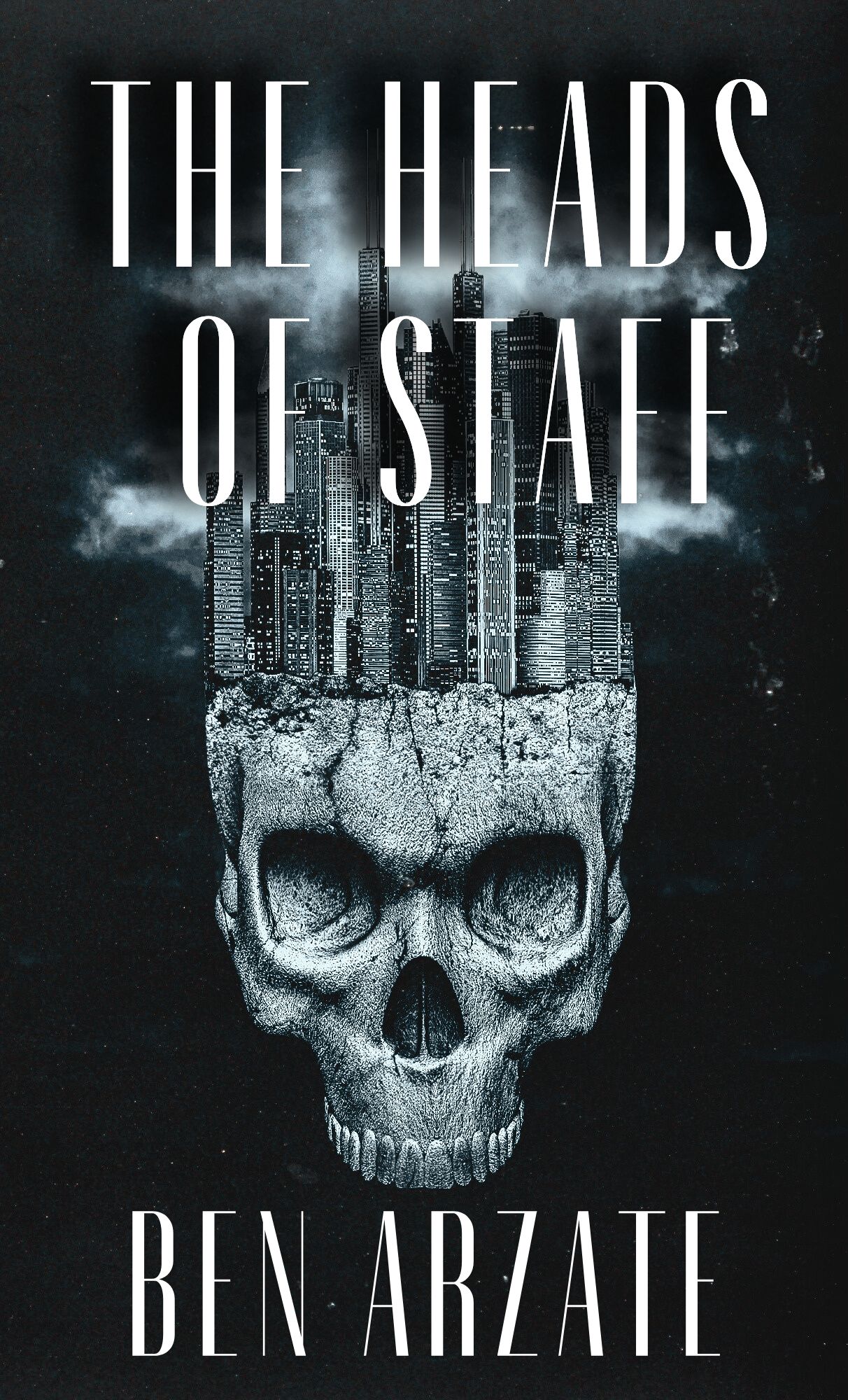 The Heads of Staff book cover