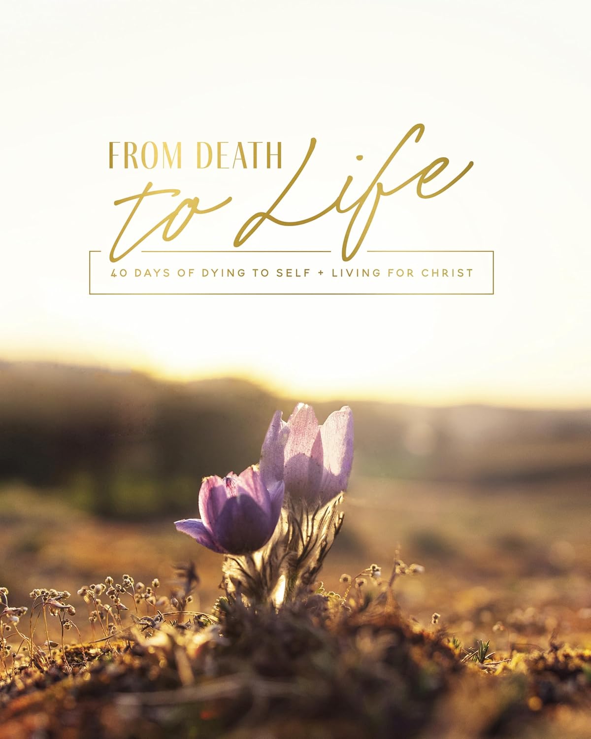 From Death to Life: 40 Days of Dying to Self and Living for Christ