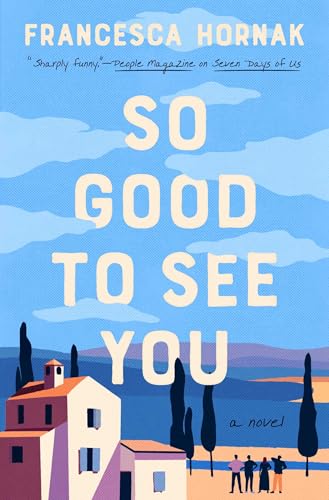 So Good to See You: A Novel