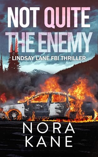 Not Quite The Enemy: Lindsay Lane FBI Thriller