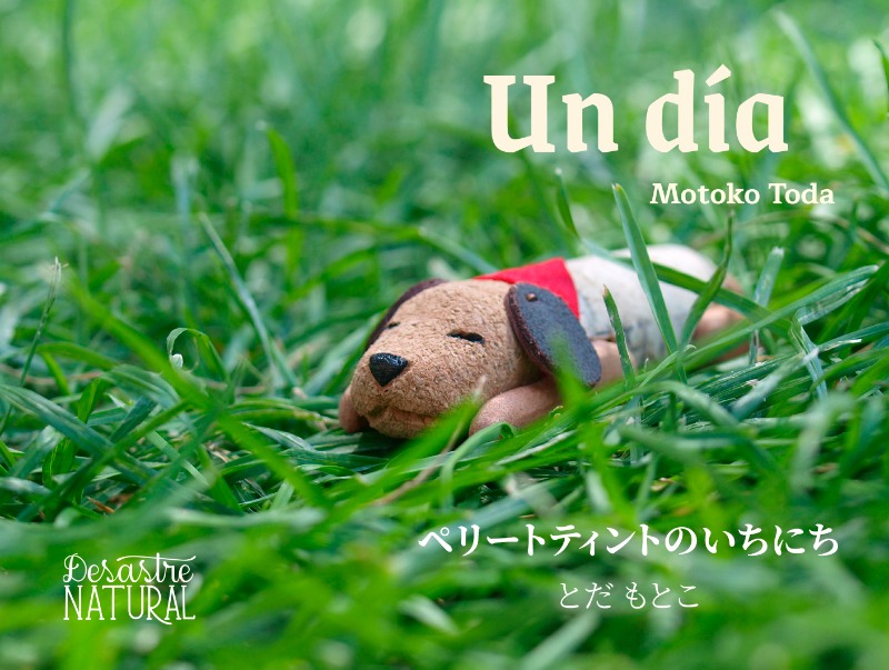 Un día
