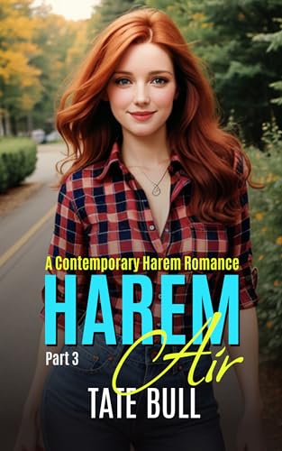 Harem Air (part 3): A Contemporary MFFF Harem
