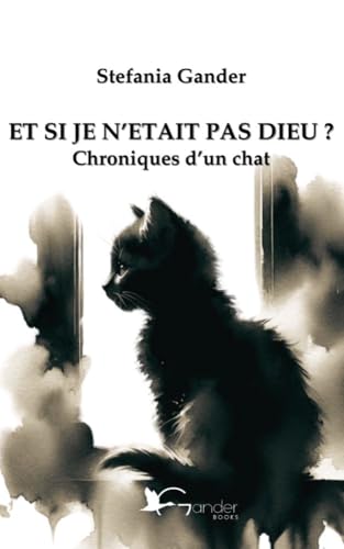 ET SI JE N'ETAIS PAS DIEU ?: Chroniques d'un chat