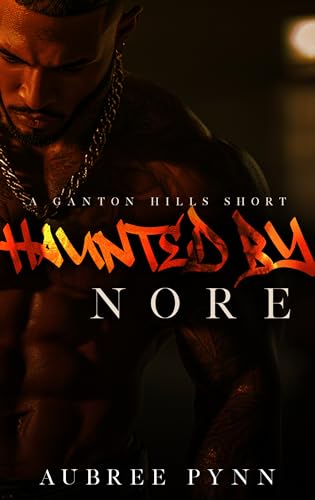 Haunted by Nore book cover