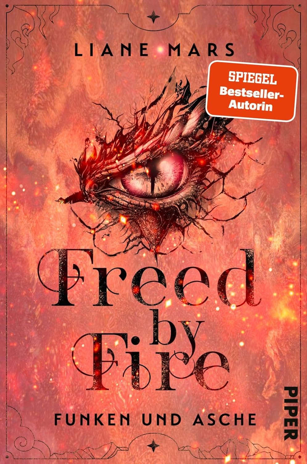 Funken und Asche book cover 2