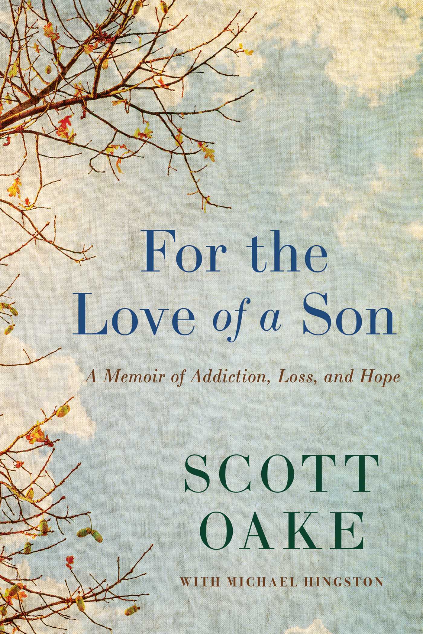 For the Love of a Son: A Memoir of Addiction, Loss, and Hope