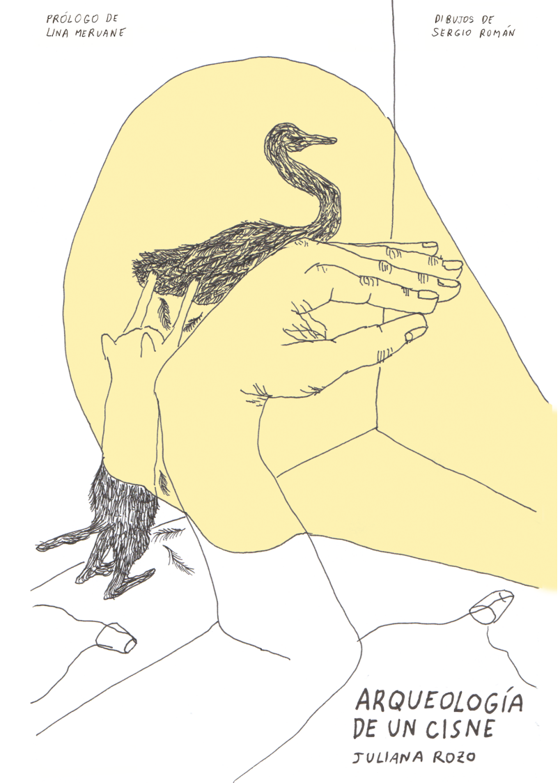Arqueología de un cisne