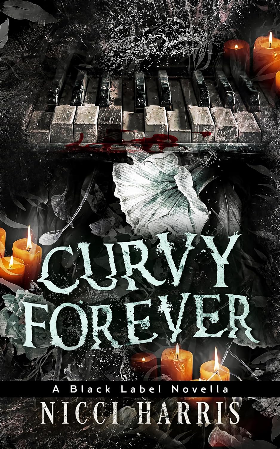 Curvy Thirteen Playlist book cover 2