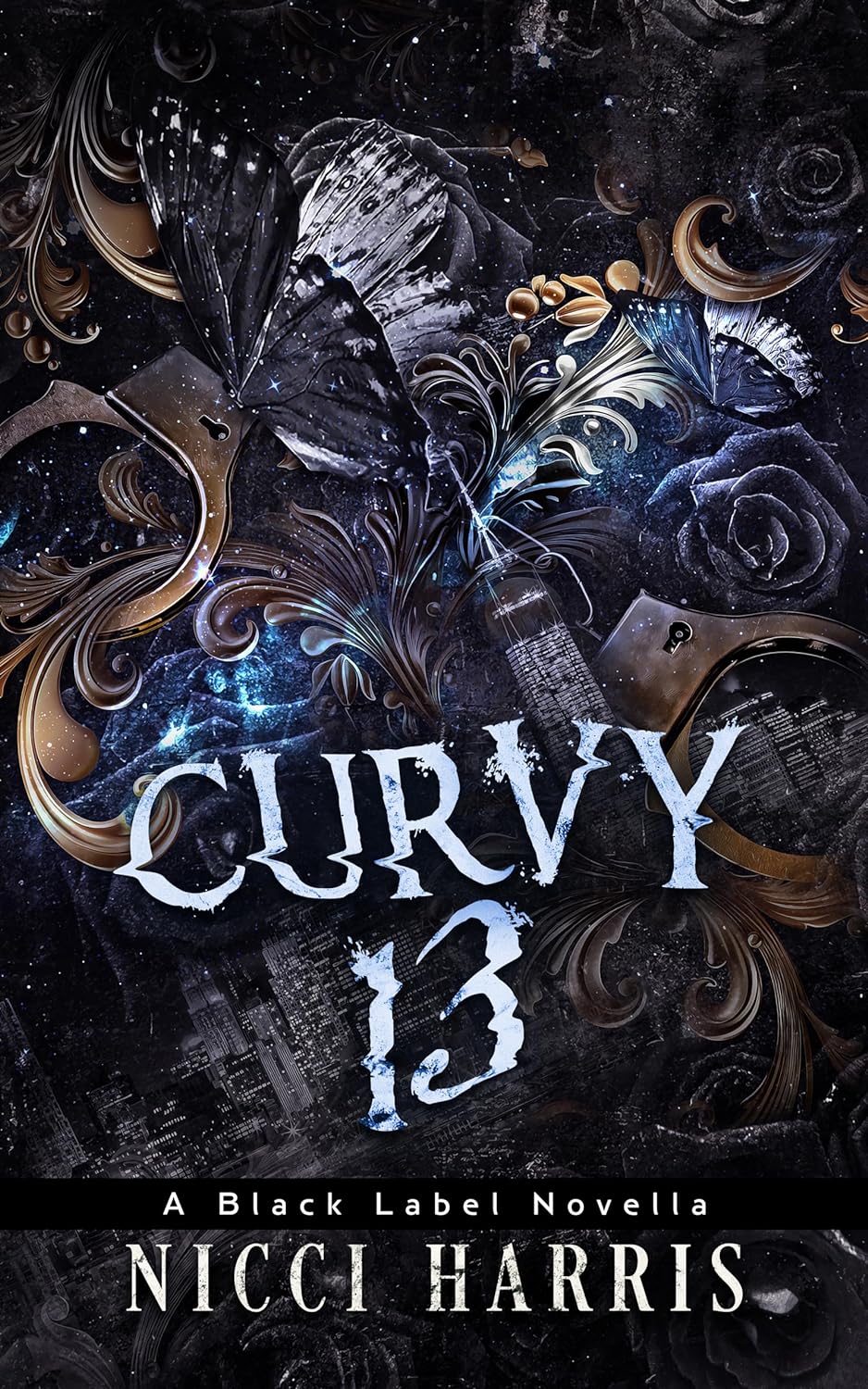 Curvy Thirteen Playlist book cover 1