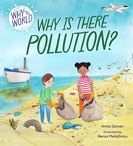 Why in the World book cover