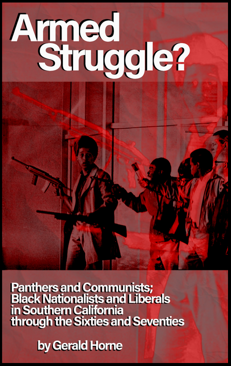 Armed Struggle? book cover