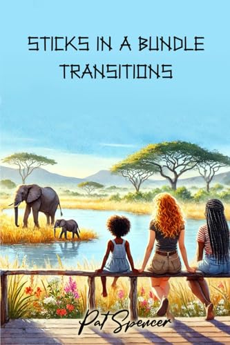 Sticks in a Bundle: Transitions