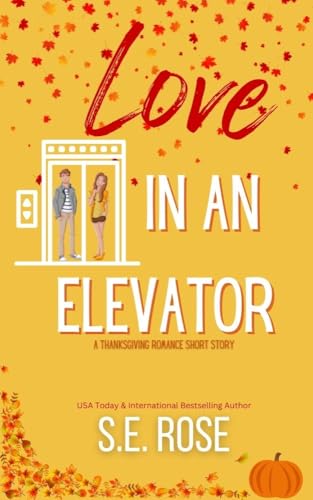 Love In An Elevator