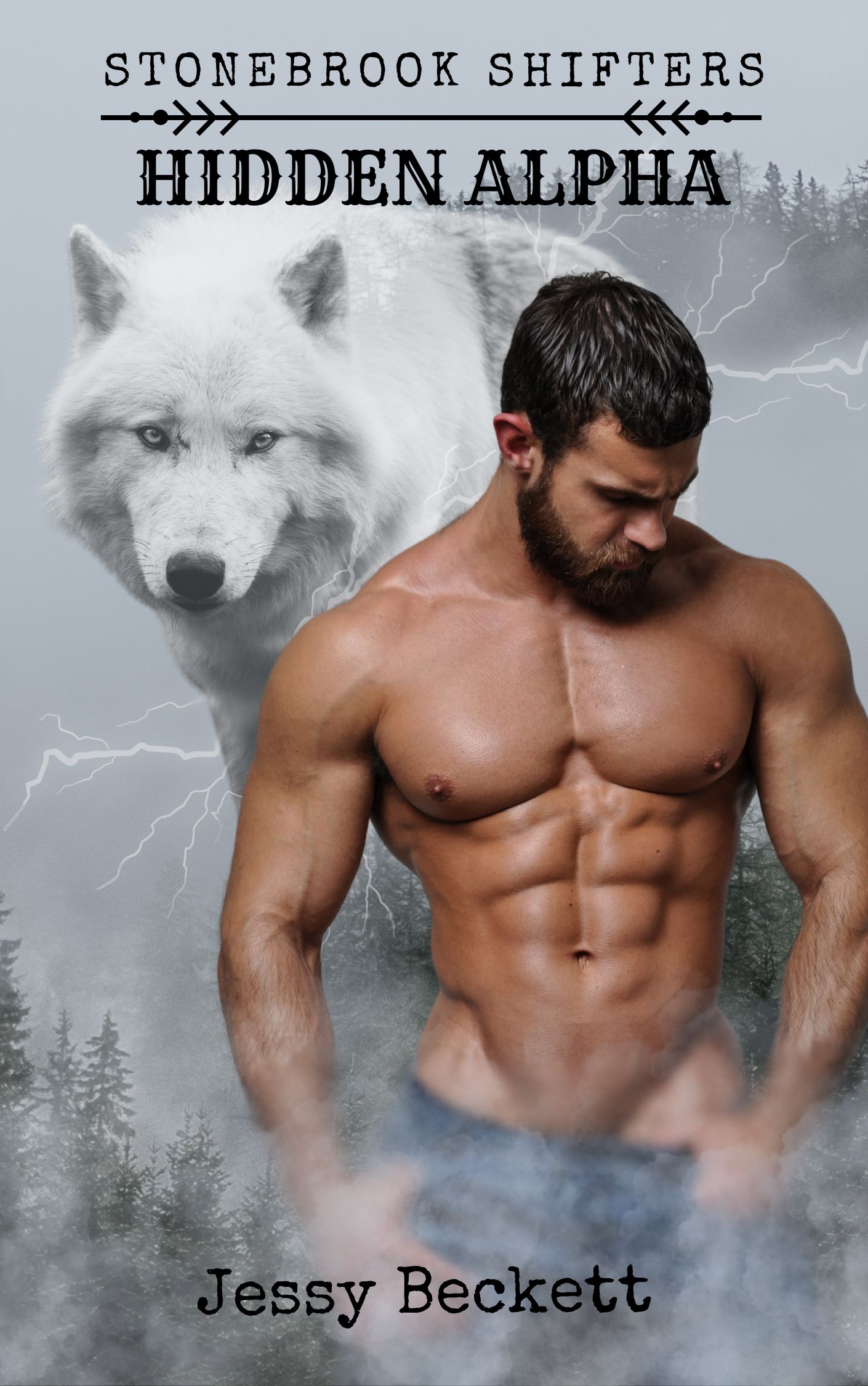 Stonebrook Shifters: Hidden Alpha