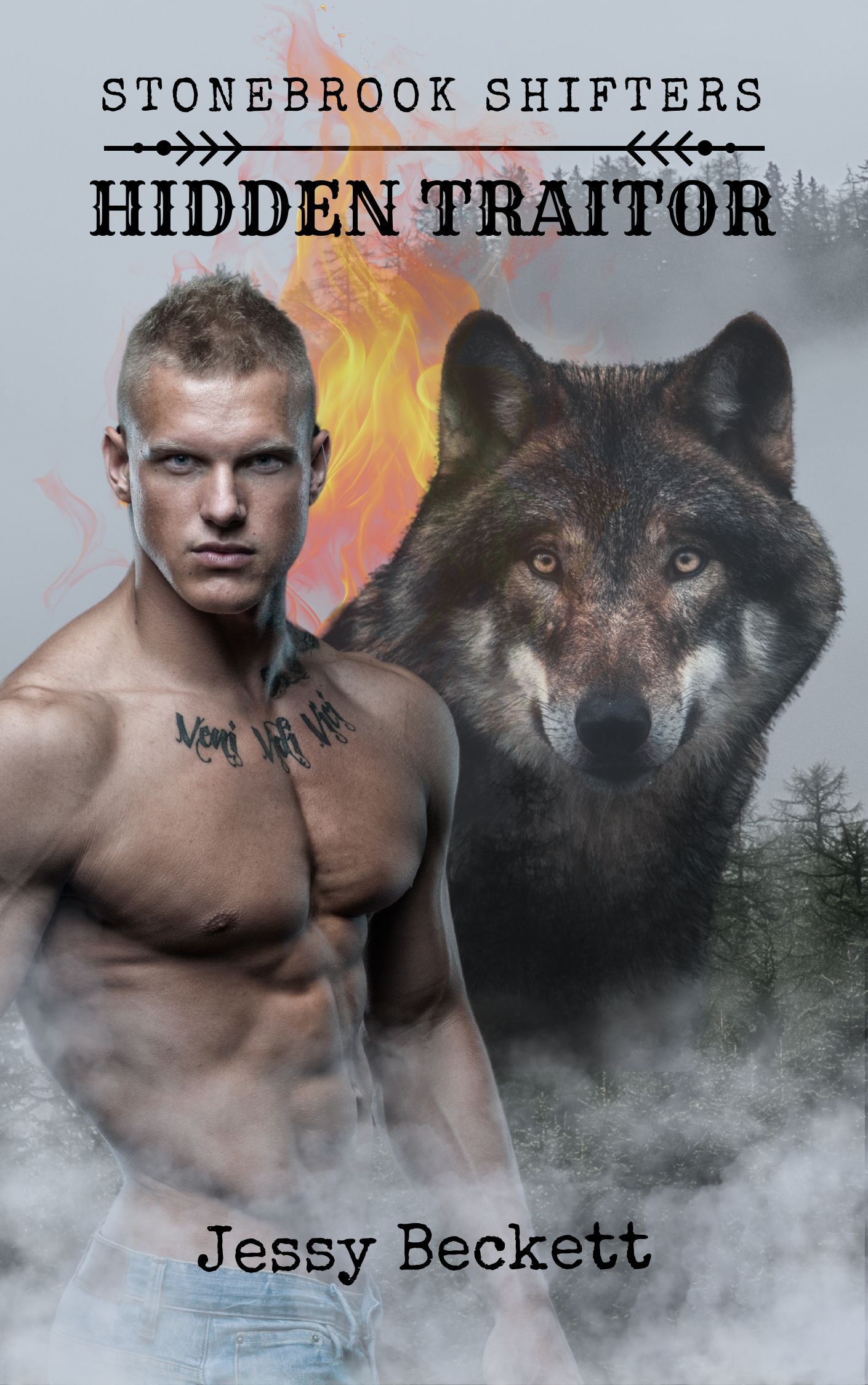 Stonebrook Shifters: Hidden Traitor