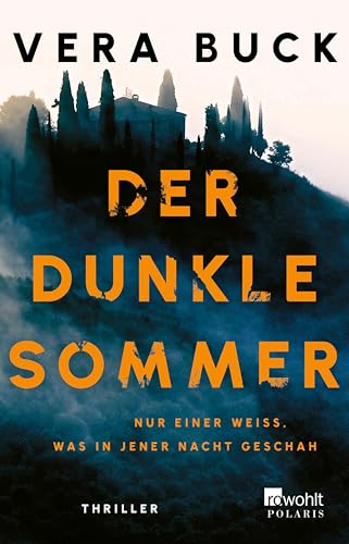 Der dunkle Sommer: Nur einer weiß, was in jener Nacht geschah