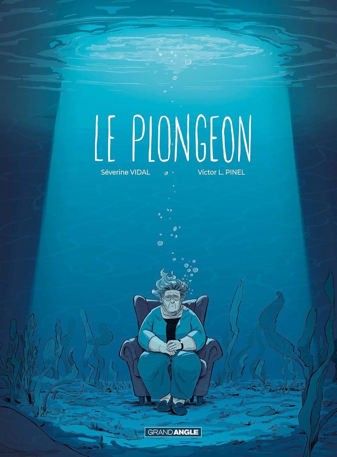 Le Plongeon