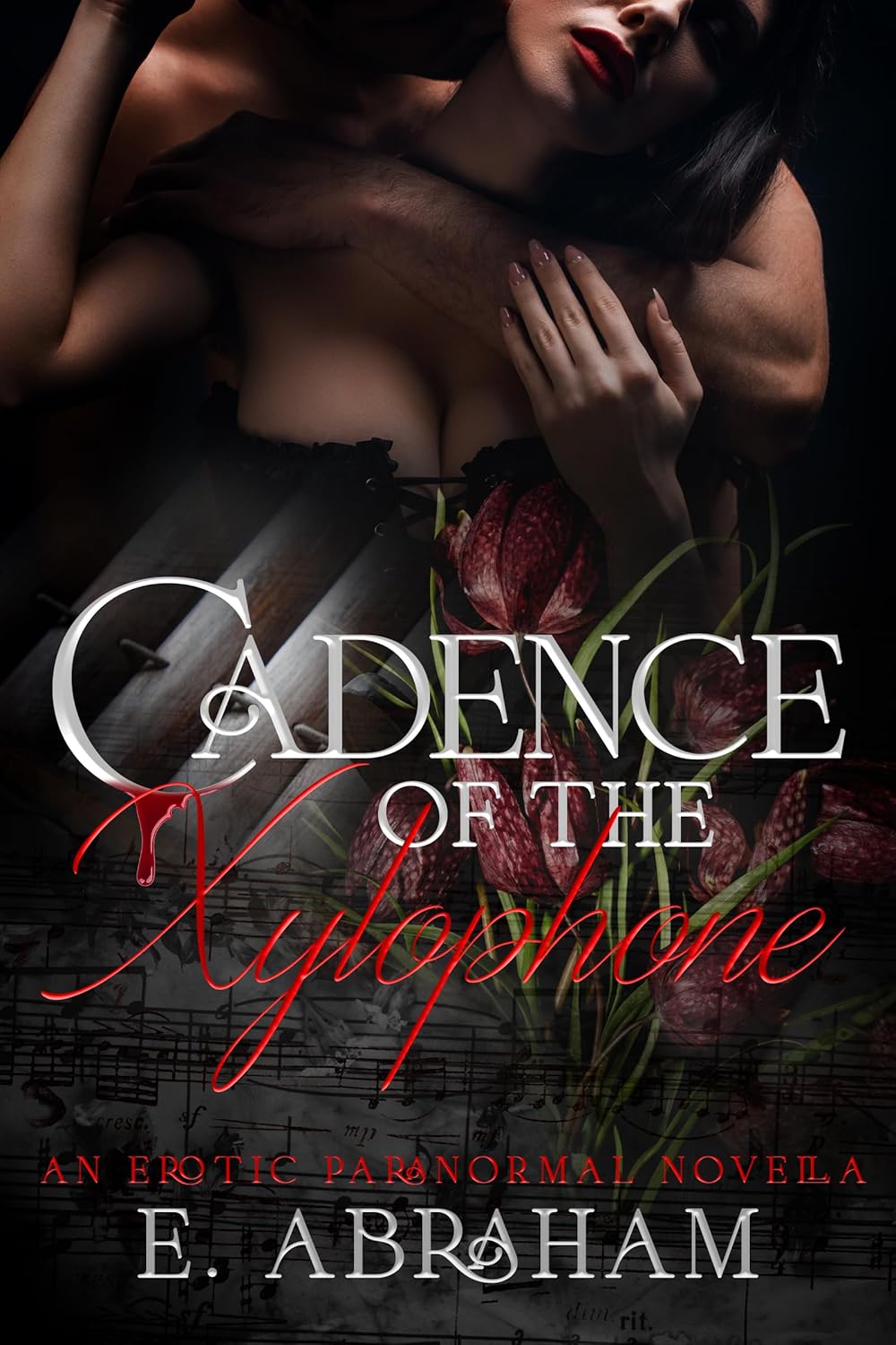 Cadence of the Xylophone book cover