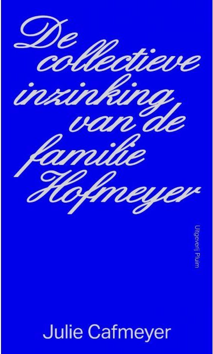 De collectieve inzinking van de familie Hofmeyer