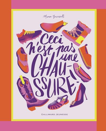 Ceci n'est pas une chaussure book cover