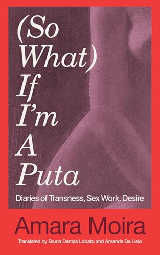 So What If I'm a Puta: Diaries of Transness, Sex Work, Desire